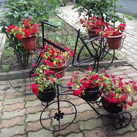 Bonola מלון